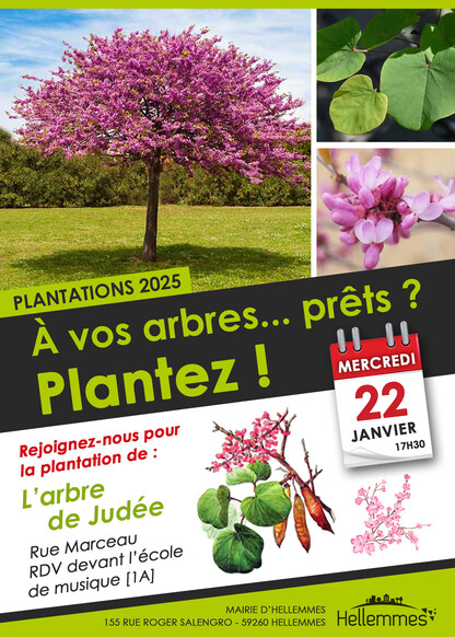 A vos arbres... prêts ? Plantez !