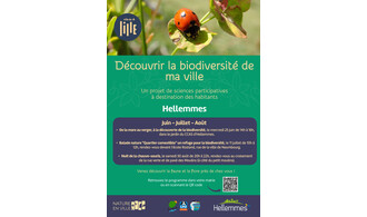 Découvrir la biodiversité de ma ville - Juin/Juillet/Août