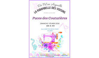 Puces des couturières - 1/2